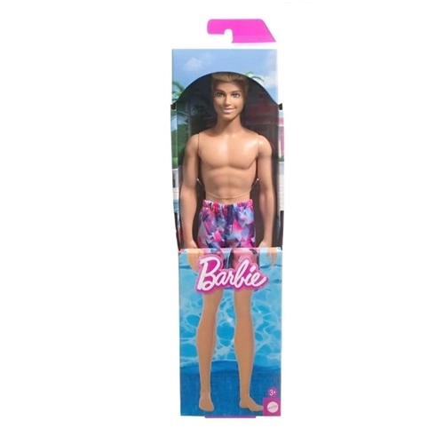 Barbie Praia Ken Sortimento Mattel 1Un